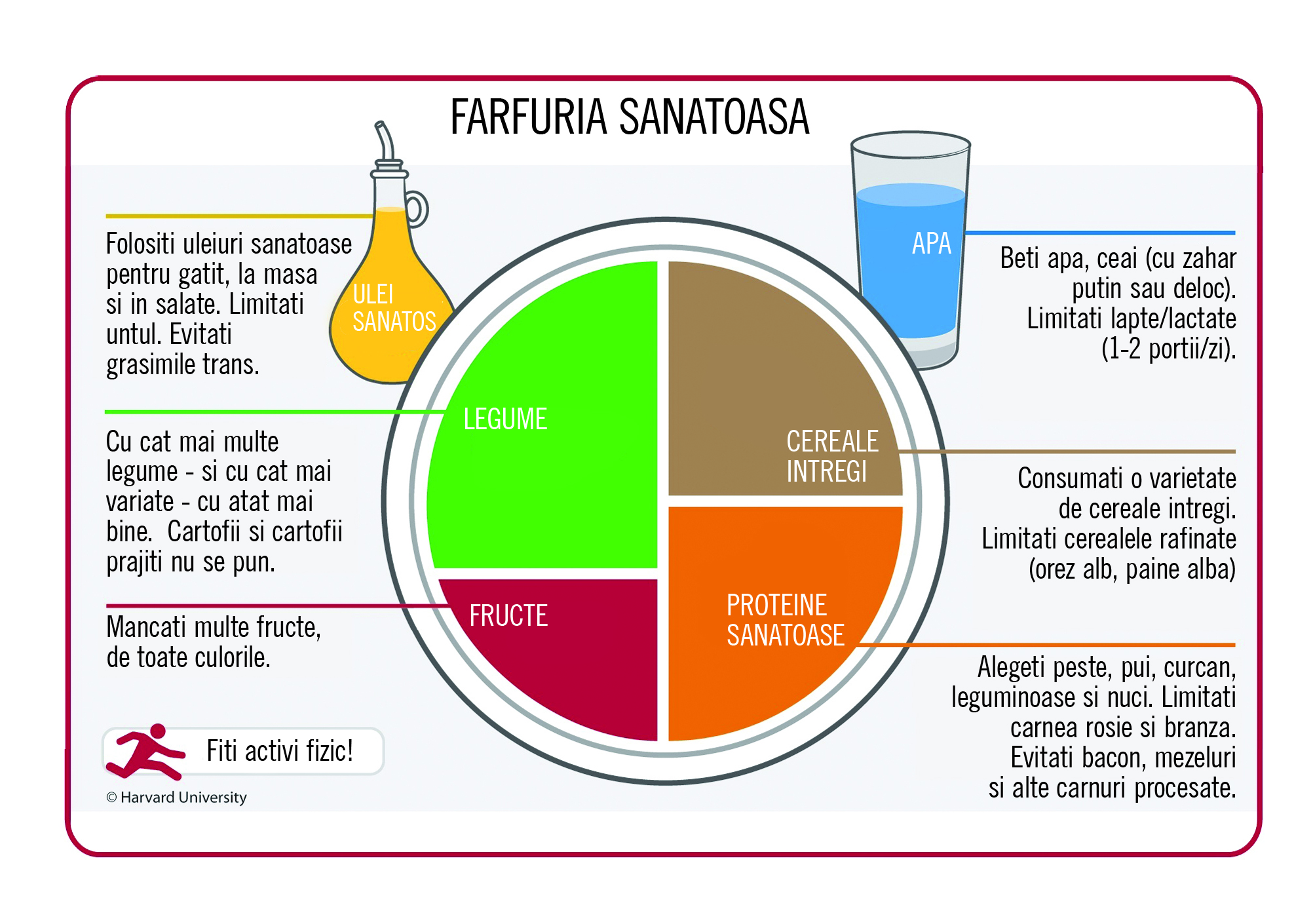 Componența nutritivă a produselor alimentare