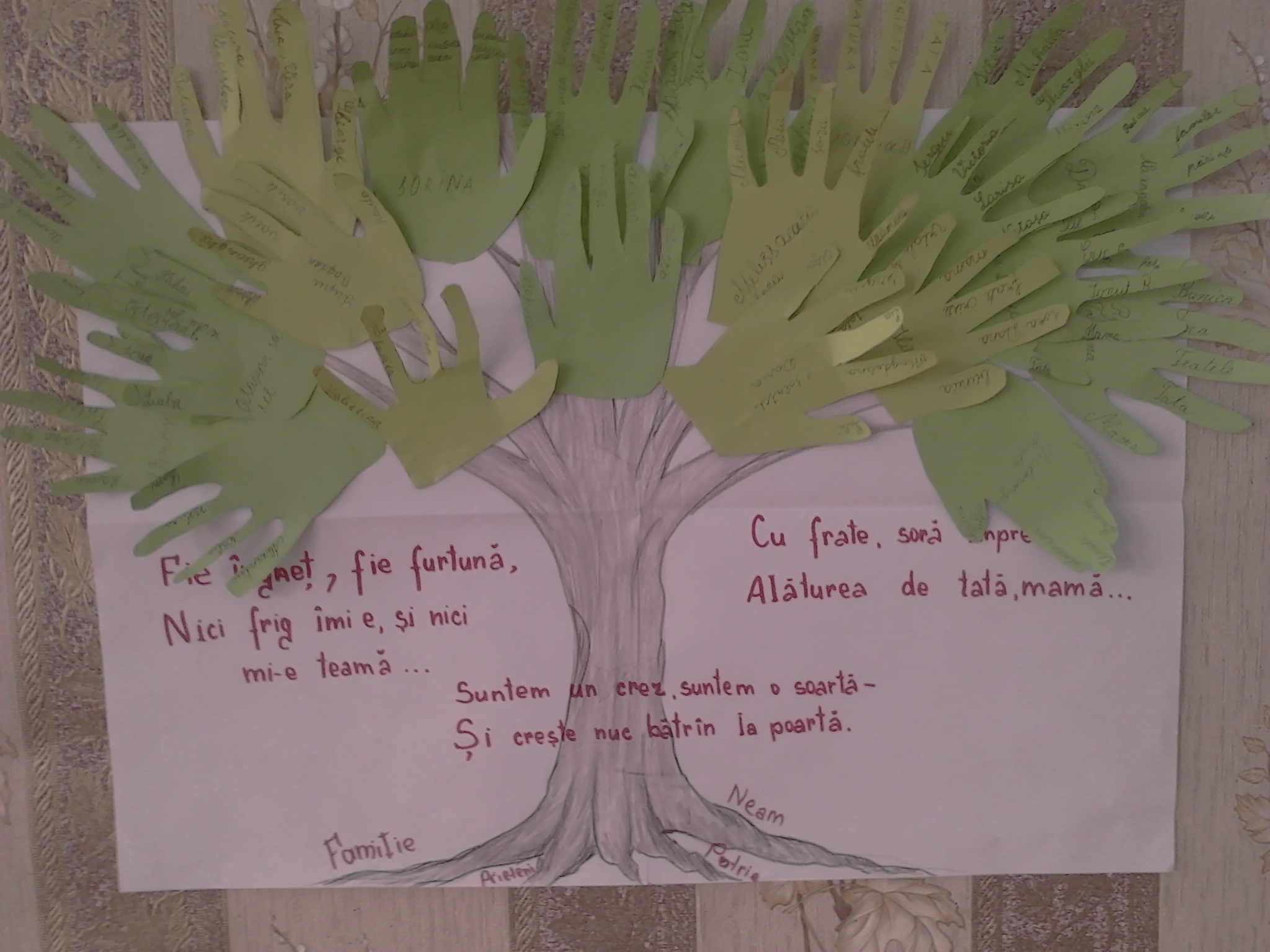 Eu nu sunt pasare – Educatia moral- spirituala